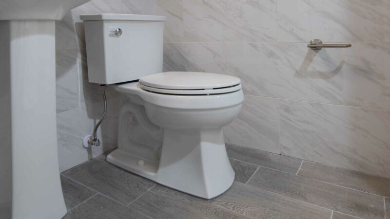 Do I Need a Plumber to Replace a Toilet? © HouseHow.com