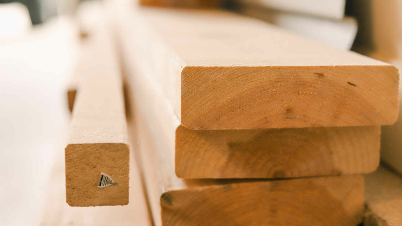 Why Is Lumber So Expensive In 2021? Solved!
