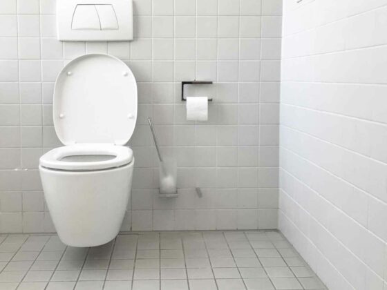 How to Unclog a Toilet with Poop in It?