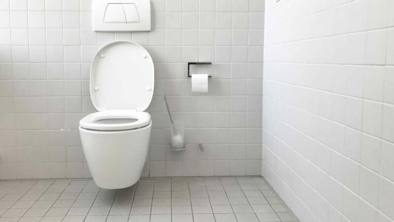 How to Unclog a Toilet with Poop in It?